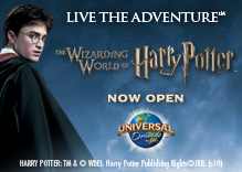 Wizarding World of Harry  Potter